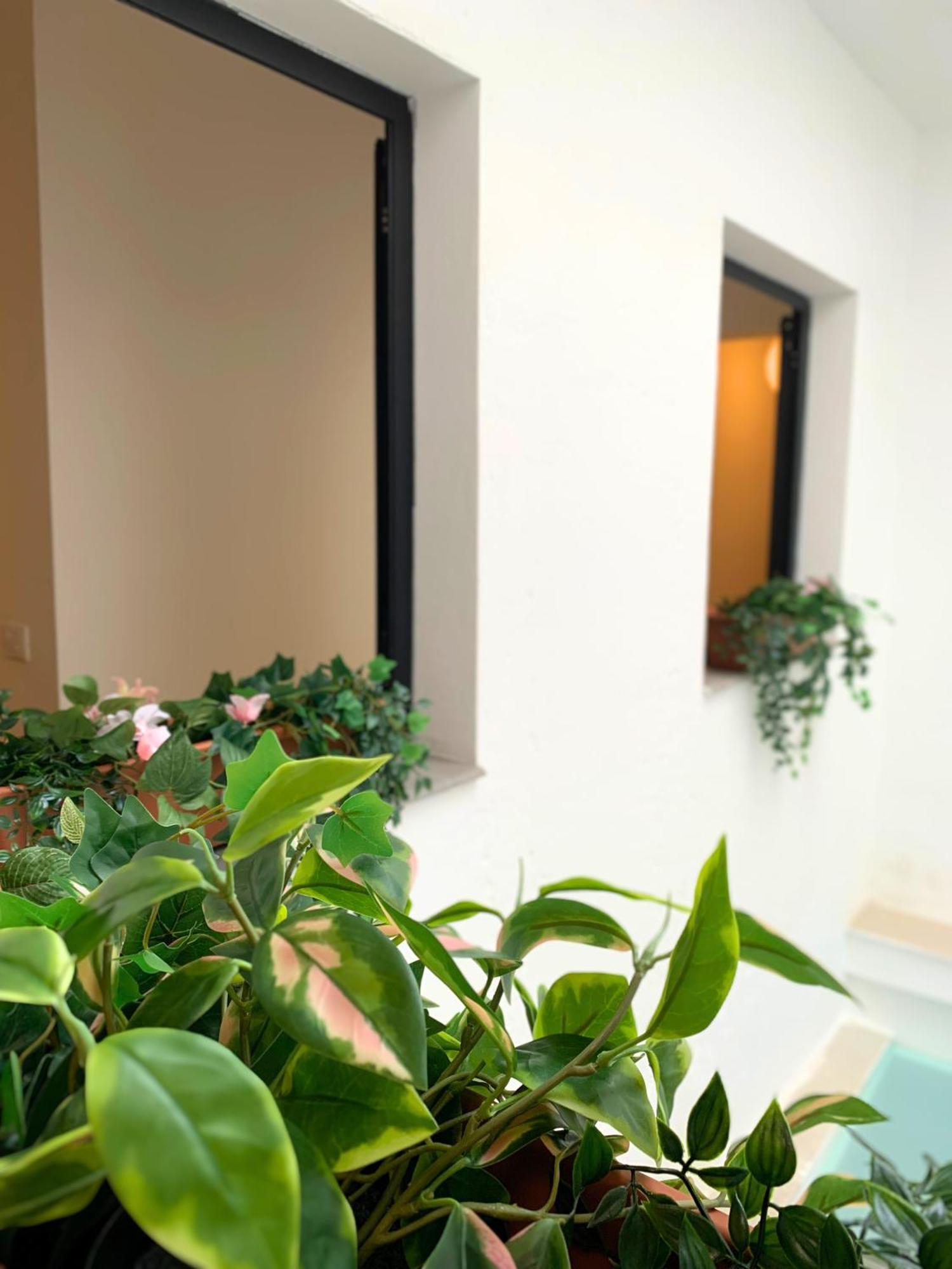 Nordic! 1 Bedroom Apartment Puerto de la Cruz  Exteriér fotografie